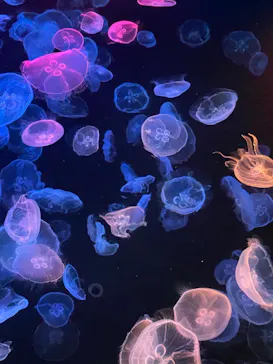 すみだ水族館に投稿された画像（2021/8/15）