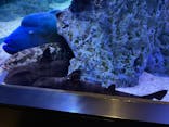 すみだ水族館に投稿された画像（2021/8/15）