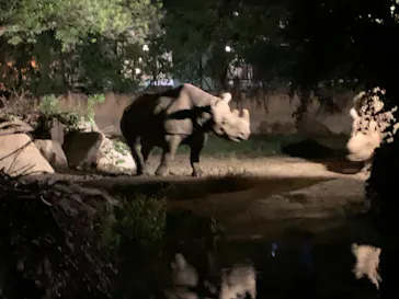 天王寺動物園に投稿された画像（2021/8/15）