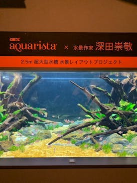 カワスイ 川崎⽔族館に投稿された画像（2021/8/15）