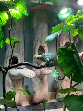 カワスイ 川崎⽔族館に投稿された画像（2021/8/15）