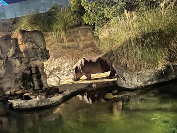 天王寺動物園に投稿された画像（2021/8/15）