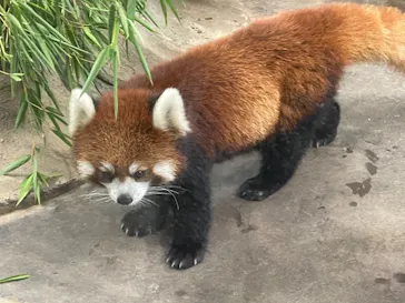 天王寺動物園に投稿された画像（2021/8/15）