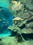 名古屋港水族館に投稿された画像（2021/8/15）