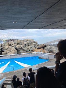 大分マリーンパレス水族館 「うみたまご」に投稿された画像（2021/8/15）