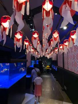 すみだ水族館に投稿された画像（2021/8/15）