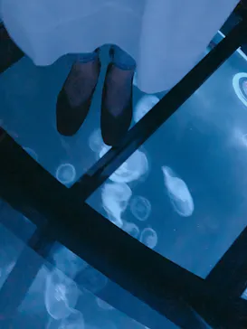 すみだ水族館に投稿された画像（2021/8/15）