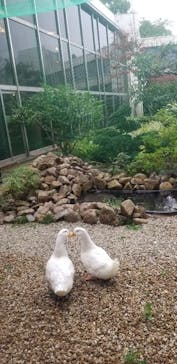 アートホテル成田に投稿された画像（2021/8/15）