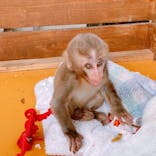 しろとり動物園に投稿された画像（2021/8/15）