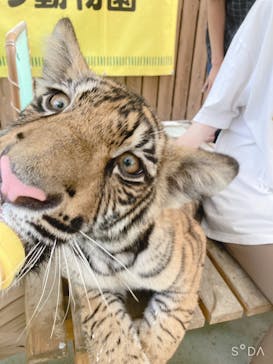 しろとり動物園に投稿された画像（2021/8/15）