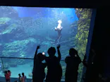仙台うみの杜水族館に投稿された画像（2021/8/15）