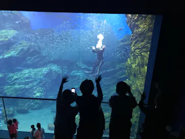 仙台うみの杜水族館に投稿された画像（2021/8/15）