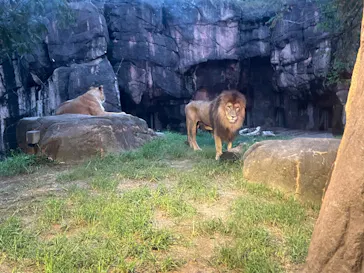 天王寺動物園に投稿された画像（2021/8/15）