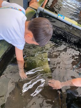鳥羽水族館に投稿された画像（2021/8/15）