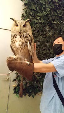 Moff animal cafe イオンモール幕張新都心店に投稿された画像（2021/8/15）