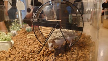 Moff animal cafe イオンモール幕張新都心店に投稿された画像（2021/8/15）