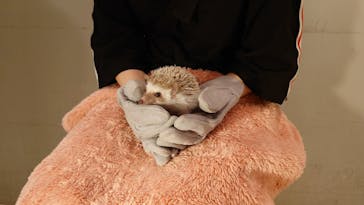 Moff animal cafe イオンモール幕張新都心店に投稿された画像（2021/8/15）