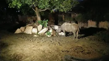 天王寺動物園に投稿された画像（2021/8/15）