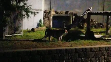 天王寺動物園に投稿された画像（2021/8/15）