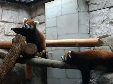 天王寺動物園に投稿された画像（2021/8/15）