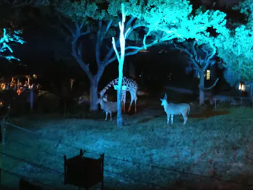 天王寺動物園に投稿された画像（2021/8/15）
