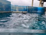 新江ノ島水族館に投稿された画像（2021/8/15）