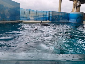新江ノ島水族館に投稿された画像（2021/8/15）