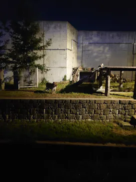 天王寺動物園に投稿された画像（2021/8/15）