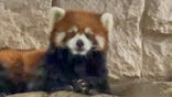 天王寺動物園に投稿された画像（2021/8/15）