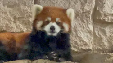 天王寺動物園に投稿された画像（2021/8/15）