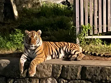 天王寺動物園に投稿された画像（2021/8/15）