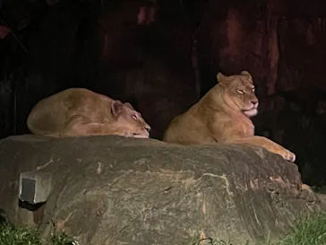 天王寺動物園に投稿された画像（2021/8/15）