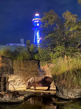 天王寺動物園に投稿された画像（2021/8/15）