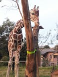 天王寺動物園に投稿された画像（2021/8/15）