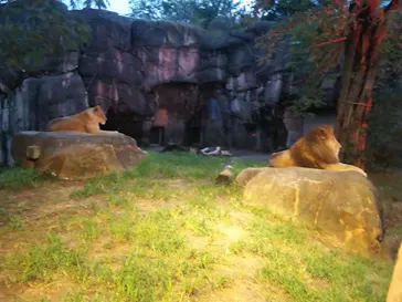 天王寺動物園に投稿された画像（2021/8/15）