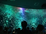 名古屋港水族館に投稿された画像（2021/8/15）
