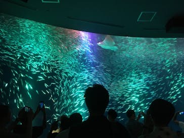 名古屋港水族館に投稿された画像（2021/8/15）