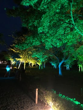 二条城×ネイキッド 二条城夏まつり2021に投稿された画像（2021/8/15）