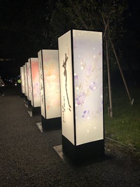 二条城×ネイキッド 二条城夏まつり2021に投稿された画像（2021/8/15）