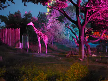 天王寺動物園に投稿された画像（2021/8/15）