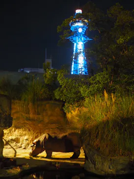 天王寺動物園に投稿された画像（2021/8/15）