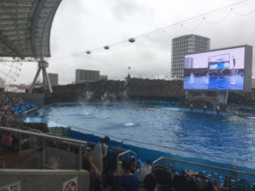 名古屋港水族館に投稿された画像（2021/8/15）