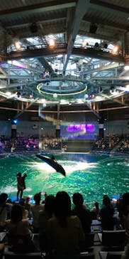 マクセル アクアパーク品川に投稿された画像（2021/8/15）