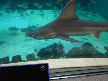 株式会社Gに投稿された画像（2021/8/15）