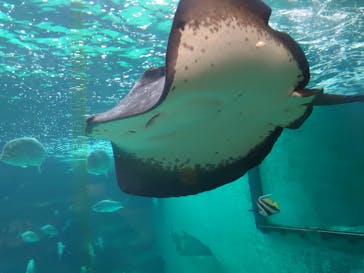 株式会社Gに投稿された画像（2021/8/15）