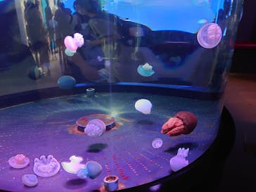 株式会社Gに投稿された画像（2021/8/15）