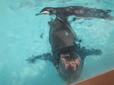 株式会社Gに投稿された画像（2021/8/15）