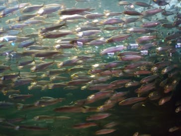 株式会社Gに投稿された画像（2021/8/15）