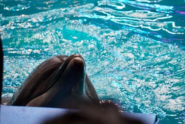 マクセル アクアパーク品川に投稿された画像（2021/8/15）