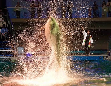 マクセル アクアパーク品川に投稿された画像（2021/8/15）